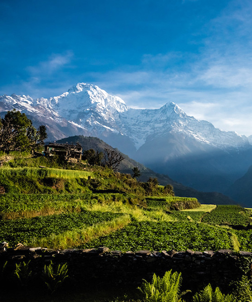 Les Annapurnas, une histoire de 20 millions d'années