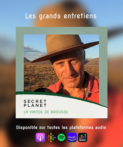 PODCAST | La viande de brousse avec Jean-François Lagrot