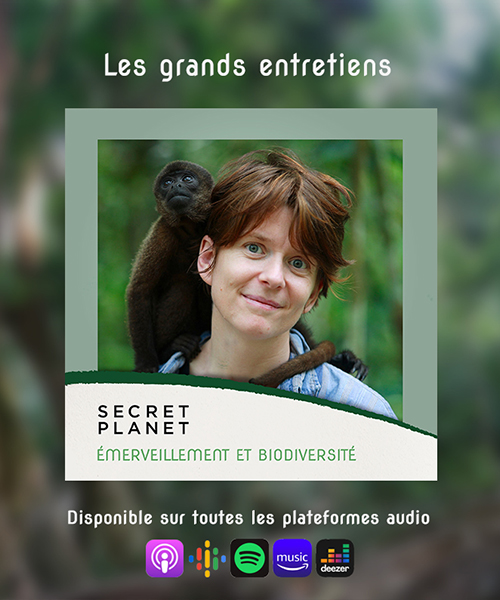 PODCAST | Emerveillement et biodiversité avec Emmanuelle Grundmann