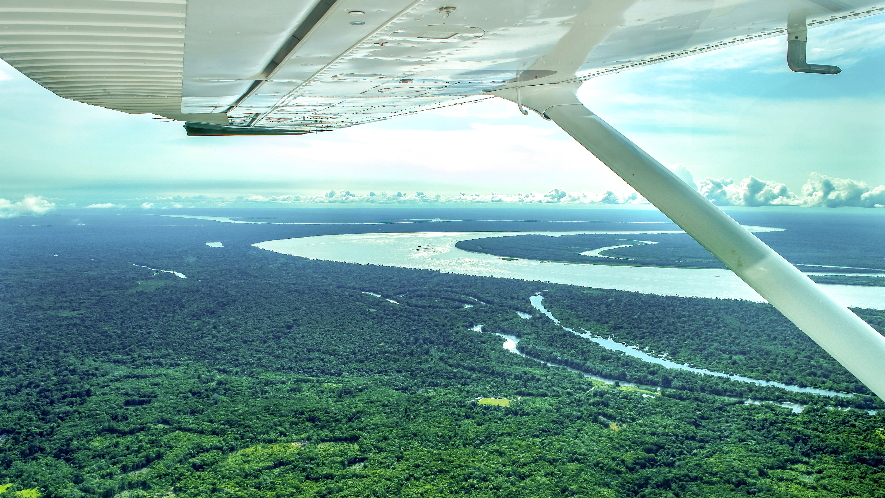 Amazonie