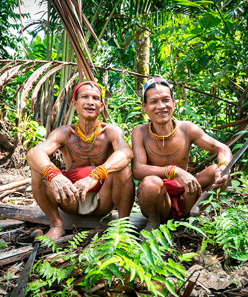 Évolution de nos programmes à la rencontre des hommes-fleurs de Siberut, Indonésie