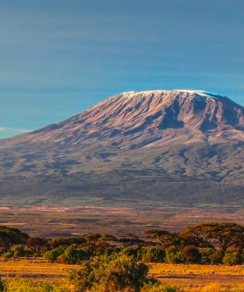 Kilimandjaro 