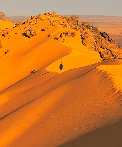 Trek dans le désert en Mauritanie