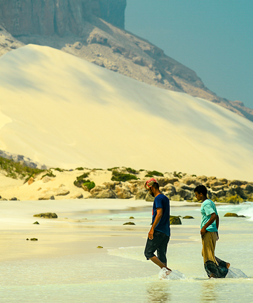 Plage à Socotra