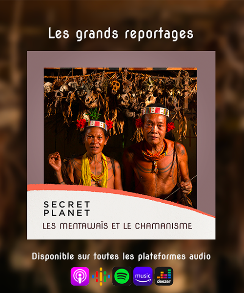 PODCAST l Indonésie : au coeur des cérémonies chamaniques mentawaï