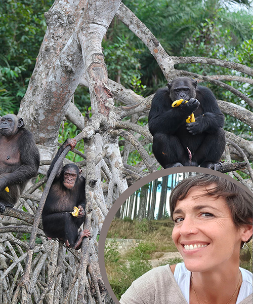 a protection de la biodiversité avec Nina Giotto de HELP Congo