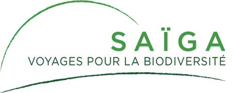 Saïga voyages pour la biodiversité