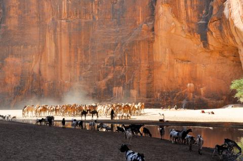 Guelta Archei Tchad par André Villon