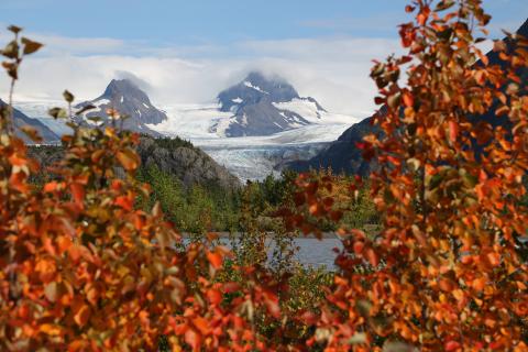 Trek et canoë sur la péninsule de Kenaï en Alaska